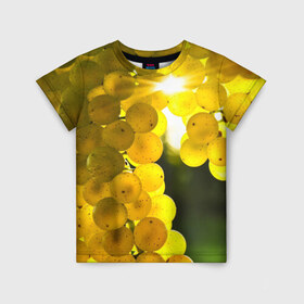 Детская футболка 3D с принтом Виноград в Екатеринбурге, 100% гипоаллергенный полиэфир | прямой крой, круглый вырез горловины, длина до линии бедер, чуть спущенное плечо, ткань немного тянется | виноград | виноградник | лоза | лучи | солнце | ягоды