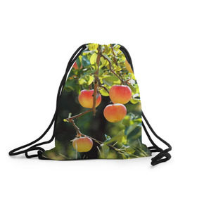 Рюкзак-мешок 3D с принтом Яблоки в Екатеринбурге, 100% полиэстер | плотность ткани — 200 г/м2, размер — 35 х 45 см; лямки — толстые шнурки, застежка на шнуровке, без карманов и подкладки | дерево | зелень | красные | сад