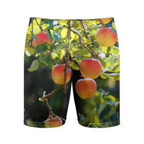 Мужские шорты 3D спортивные с принтом Яблоки в Екатеринбурге,  |  | дерево | зелень | красные | сад