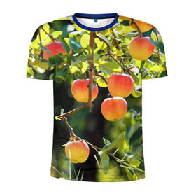 Мужская футболка 3D спортивная с принтом Яблоки в Екатеринбурге, 100% полиэстер с улучшенными характеристиками | приталенный силуэт, круглая горловина, широкие плечи, сужается к линии бедра | дерево | зелень | красные | сад