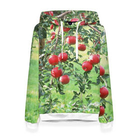 Женская толстовка 3D с принтом Яблоки в Екатеринбурге, 100% полиэстер  | двухслойный капюшон со шнурком для регулировки, мягкие манжеты на рукавах и по низу толстовки, спереди карман-кенгуру с мягким внутренним слоем. | дерево | зелень | красные | сад | яблоки