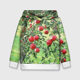 Детская толстовка 3D с принтом Яблоки в Екатеринбурге, 100% полиэстер | двухслойный капюшон со шнурком для регулировки, мягкие манжеты на рукавах и по низу толстовки, спереди карман-кенгуру с мягким внутренним слоем | Тематика изображения на принте: дерево | зелень | красные | сад | яблоки