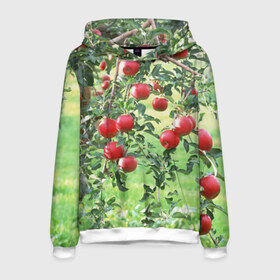 Мужская толстовка 3D с принтом Яблоки в Екатеринбурге, 100% полиэстер | двухслойный капюшон со шнурком для регулировки, мягкие манжеты на рукавах и по низу толстовки, спереди карман-кенгуру с мягким внутренним слоем. | дерево | зелень | красные | сад | яблоки
