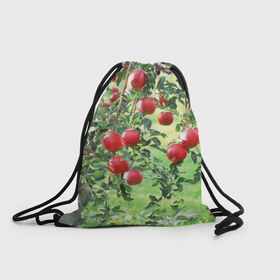 Рюкзак-мешок 3D с принтом Яблоки в Екатеринбурге, 100% полиэстер | плотность ткани — 200 г/м2, размер — 35 х 45 см; лямки — толстые шнурки, застежка на шнуровке, без карманов и подкладки | дерево | зелень | красные | сад | яблоки