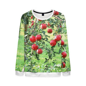 Мужской свитшот 3D с принтом Яблоки в Екатеринбурге, 100% полиэстер с мягким внутренним слоем | круглый вырез горловины, мягкая резинка на манжетах и поясе, свободная посадка по фигуре | Тематика изображения на принте: дерево | зелень | красные | сад | яблоки