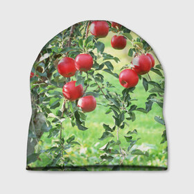 Шапка 3D с принтом Яблоки в Екатеринбурге, 100% полиэстер | универсальный размер, печать по всей поверхности изделия | дерево | зелень | красные | сад | яблоки