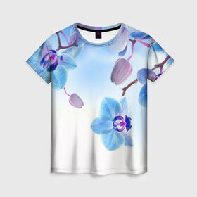 Женская футболка 3D с принтом Голубая орхидея в Екатеринбурге, 100% полиэфир ( синтетическое хлопкоподобное полотно) | прямой крой, круглый вырез горловины, длина до линии бедер | Тематика изображения на принте: голубая орхидея | красота | орхидеи | природа | цветок | цветочек | цветы