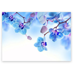 Поздравительная открытка с принтом Голубая орхидея в Екатеринбурге, 100% бумага | плотность бумаги 280 г/м2, матовая, на обратной стороне линовка и место для марки
 | голубая орхидея | красота | орхидеи | природа | цветок | цветочек | цветы