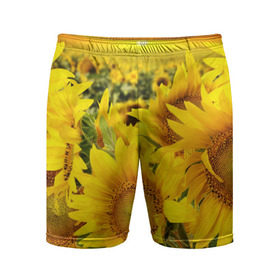 Мужские шорты 3D спортивные с принтом Подсолнухи в Екатеринбурге,  |  | желтый | солнце | цветок | яркий