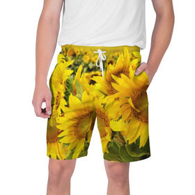 Мужские шорты 3D с принтом Подсолнухи в Екатеринбурге,  полиэстер 100% | прямой крой, два кармана без застежек по бокам. Мягкая трикотажная резинка на поясе, внутри которой широкие завязки. Длина чуть выше колен | желтый | солнце | цветок | яркий
