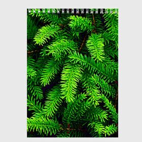 Скетчбук с принтом Ёлка в Екатеринбурге, 100% бумага
 | 48 листов, плотность листов — 100 г/м2, плотность картонной обложки — 250 г/м2. Листы скреплены сверху удобной пружинной спиралью | green | дерево | елка | зеленый | природа