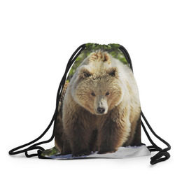 Рюкзак-мешок 3D с принтом Медведи в Екатеринбурге, 100% полиэстер | плотность ткани — 200 г/м2, размер — 35 х 45 см; лямки — толстые шнурки, застежка на шнуровке, без карманов и подкладки | звери | медведь | мишка | природа