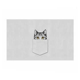 Бумага для упаковки 3D с принтом Кот в кармане 2 в Екатеринбурге, пластик и полированная сталь | круглая форма, металлическое крепление в виде кольца | Тематика изображения на принте: animals | cat | kitty | животные | кот | котик