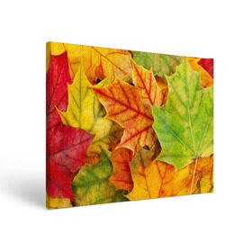 Холст прямоугольный с принтом Краски осени в Екатеринбурге, 100% ПВХ |  | листва | листья | осень