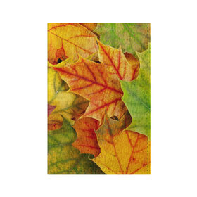 Обложка для паспорта матовая кожа с принтом Краски осени в Екатеринбурге, натуральная матовая кожа | размер 19,3 х 13,7 см; прозрачные пластиковые крепления | листва | листья | осень