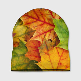 Шапка 3D с принтом Краски осени в Екатеринбурге, 100% полиэстер | универсальный размер, печать по всей поверхности изделия | листва | листья | осень