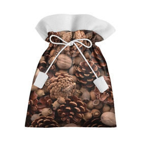 Подарочный 3D мешок с принтом Шишки и орешки в Екатеринбурге, 100% полиэстер | Размер: 29*39 см | дуб | ёлка | ель | жёлудь | иголки | кедр | лес | орех | орешки | осень | сосна | шишки