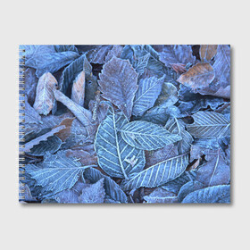 Альбом для рисования с принтом Застывшие листья в Екатеринбурге, 100% бумага
 | матовая бумага, плотность 200 мг. | иней | мороз | осень | холод