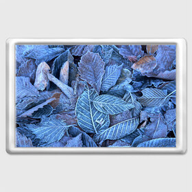 Магнит 45*70 с принтом Застывшие листья в Екатеринбурге, Пластик | Размер: 78*52 мм; Размер печати: 70*45 | иней | мороз | осень | холод