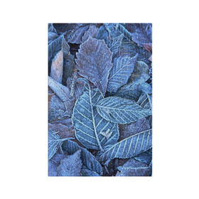 Обложка для паспорта матовая кожа с принтом Застывшие листья в Екатеринбурге, натуральная матовая кожа | размер 19,3 х 13,7 см; прозрачные пластиковые крепления | иней | мороз | осень | холод