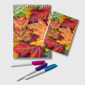 Блокнот с принтом Осенняя пора в Екатеринбурге, 100% бумага | 48 листов, плотность листов — 60 г/м2, плотность картонной обложки — 250 г/м2. Листы скреплены удобной пружинной спиралью. Цвет линий — светло-серый
 | Тематика изображения на принте: жёлтый | красный | листва | листья | осень