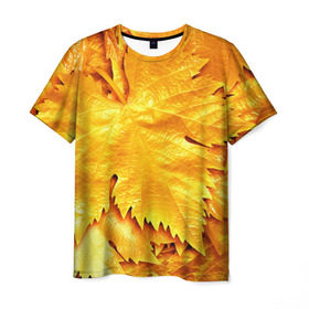 Мужская футболка 3D с принтом Золотая осень в Екатеринбурге, 100% полиэфир | прямой крой, круглый вырез горловины, длина до линии бедер | Тематика изображения на принте: жёлтый | золотой | клён | красота | листва | листья | наряд | осень | осина | покров | природа