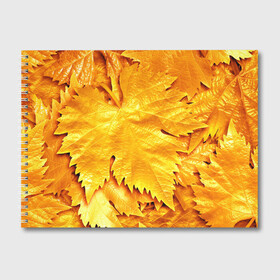 Альбом для рисования с принтом Золотая осень в Екатеринбурге, 100% бумага
 | матовая бумага, плотность 200 мг. | жёлтый | золотой | клён | красота | листва | листья | наряд | осень | осина | покров | природа