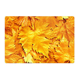 Магнитный плакат 3Х2 с принтом Золотая осень в Екатеринбурге, Полимерный материал с магнитным слоем | 6 деталей размером 9*9 см | жёлтый | золотой | клён | красота | листва | листья | наряд | осень | осина | покров | природа