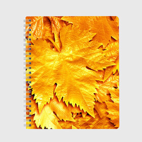 Тетрадь с принтом Золотая осень в Екатеринбурге, 100% бумага | 48 листов, плотность листов — 60 г/м2, плотность картонной обложки — 250 г/м2. Листы скреплены сбоку удобной пружинной спиралью. Уголки страниц и обложки скругленные. Цвет линий — светло-серый
 | Тематика изображения на принте: жёлтый | золотой | клён | красота | листва | листья | наряд | осень | осина | покров | природа