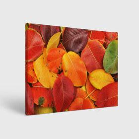 Холст прямоугольный с принтом Осенний покров в Екатеринбурге, 100% ПВХ |  | жёлтый | золотой | красный | листва | листья | осень