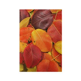Обложка для паспорта матовая кожа с принтом Осенний покров в Екатеринбурге, натуральная матовая кожа | размер 19,3 х 13,7 см; прозрачные пластиковые крепления | Тематика изображения на принте: жёлтый | золотой | красный | листва | листья | осень