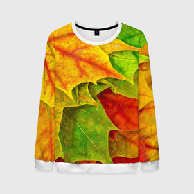 Мужской свитшот 3D с принтом Осенний наряд в Екатеринбурге, 100% полиэстер с мягким внутренним слоем | круглый вырез горловины, мягкая резинка на манжетах и поясе, свободная посадка по фигуре | жёлтый | зелёный | красный | листва | листья | оранжевый