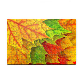 Пазл магнитный 126 элементов с принтом Осенний наряд в Екатеринбурге, полимерный материал с магнитным слоем | 126 деталей, размер изделия —  180*270 мм | жёлтый | зелёный | красный | листва | листья | оранжевый