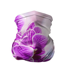 Бандана-труба 3D с принтом Божественная орхидея в Екатеринбурге, 100% полиэстер, ткань с особыми свойствами — Activecool | плотность 150‒180 г/м2; хорошо тянется, но сохраняет форму | 8 марта | букет | весна | красота | куст | лето | орхидея | подарок | сиреневый цвет | цветок | шикарный цветочек