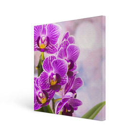 Холст квадратный с принтом Божественная орхидея в Екатеринбурге, 100% ПВХ |  | 8 марта | букет | весна | красота | куст | лето | орхидея | подарок | сиреневый цвет | цветок | шикарный цветочек