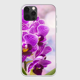 Чехол для iPhone 12 Pro Max с принтом Божественная орхидея в Екатеринбурге, Силикон |  | 8 марта | букет | весна | красота | куст | лето | орхидея | подарок | сиреневый цвет | цветок | шикарный цветочек