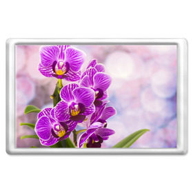 Магнит 45*70 с принтом Божественная орхидея в Екатеринбурге, Пластик | Размер: 78*52 мм; Размер печати: 70*45 | 8 марта | букет | весна | красота | куст | лето | орхидея | подарок | сиреневый цвет | цветок | шикарный цветочек