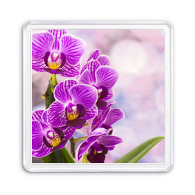 Магнит 55*55 с принтом Божественная орхидея в Екатеринбурге, Пластик | Размер: 65*65 мм; Размер печати: 55*55 мм | 8 марта | букет | весна | красота | куст | лето | орхидея | подарок | сиреневый цвет | цветок | шикарный цветочек