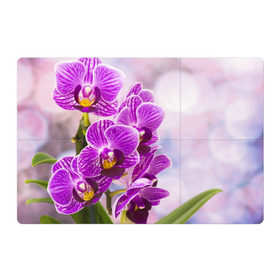 Магнитный плакат 3Х2 с принтом Божественная орхидея в Екатеринбурге, Полимерный материал с магнитным слоем | 6 деталей размером 9*9 см | 8 марта | букет | весна | красота | куст | лето | орхидея | подарок | сиреневый цвет | цветок | шикарный цветочек
