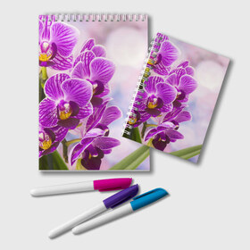 Блокнот с принтом Божественная орхидея в Екатеринбурге, 100% бумага | 48 листов, плотность листов — 60 г/м2, плотность картонной обложки — 250 г/м2. Листы скреплены удобной пружинной спиралью. Цвет линий — светло-серый
 | Тематика изображения на принте: 8 марта | букет | весна | красота | куст | лето | орхидея | подарок | сиреневый цвет | цветок | шикарный цветочек