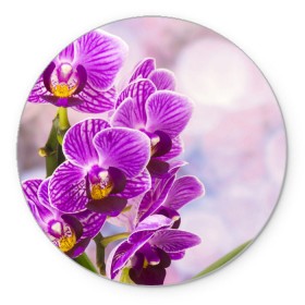 Коврик круглый с принтом Божественная орхидея в Екатеринбурге, резина и полиэстер | круглая форма, изображение наносится на всю лицевую часть | 8 марта | букет | весна | красота | куст | лето | орхидея | подарок | сиреневый цвет | цветок | шикарный цветочек