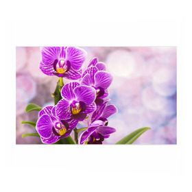 Бумага для упаковки 3D с принтом Божественная орхидея в Екатеринбурге, пластик и полированная сталь | круглая форма, металлическое крепление в виде кольца | Тематика изображения на принте: 8 марта | букет | весна | красота | куст | лето | орхидея | подарок | сиреневый цвет | цветок | шикарный цветочек