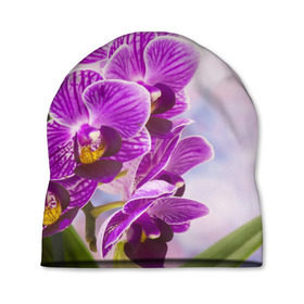 Шапка 3D с принтом Божественная орхидея в Екатеринбурге, 100% полиэстер | универсальный размер, печать по всей поверхности изделия | 8 марта | букет | весна | красота | куст | лето | орхидея | подарок | сиреневый цвет | цветок | шикарный цветочек