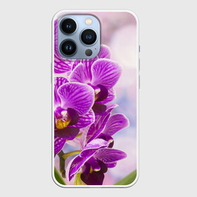 Чехол для iPhone 13 Pro с принтом Божественная орхидея в Екатеринбурге,  |  | 8 марта | букет | весна | красота | куст | лето | орхидея | подарок | сиреневый цвет | цветок | шикарный цветочек