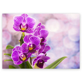 Поздравительная открытка с принтом Божественная орхидея в Екатеринбурге, 100% бумага | плотность бумаги 280 г/м2, матовая, на обратной стороне линовка и место для марки
 | 8 марта | букет | весна | красота | куст | лето | орхидея | подарок | сиреневый цвет | цветок | шикарный цветочек