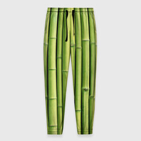 Мужские брюки 3D с принтом Бамбук в Екатеринбурге, 100% полиэстер | манжеты по низу, эластичный пояс регулируется шнурком, по бокам два кармана без застежек, внутренняя часть кармана из мелкой сетки | бамбук | дерево | джунгли | кустарник | надёжность | прочность | стена