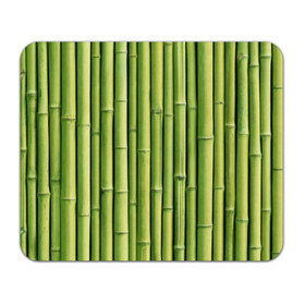 Коврик прямоугольный с принтом Бамбук в Екатеринбурге, натуральный каучук | размер 230 х 185 мм; запечатка лицевой стороны | бамбук | дерево | джунгли | кустарник | надёжность | прочность | стена