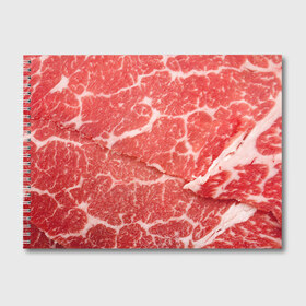 Альбом для рисования с принтом Кусок мяса в Екатеринбурге, 100% бумага
 | матовая бумага, плотность 200 мг. | баранина | бекон | белок | говядина | еда | жилы | кровь | кусок | мощь | мышцы | мясо | нарезка | отбивная | пища | протеин | свинина | сила | телятина | туша | филе | хрящи