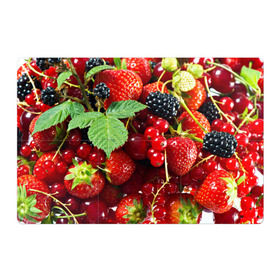 Магнитный плакат 3Х2 с принтом Любимые ягоды в Екатеринбурге, Полимерный материал с магнитным слоем | 6 деталей размером 9*9 см | Тематика изображения на принте: вкусно | голубика | дача | деревня | ежевика | зелень | клубника | малина | огород | полезно | сад | смородина | сок | фрукты | черника | шиповник | ягоды