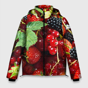 Мужская зимняя куртка 3D с принтом Любимые ягоды в Екатеринбурге, верх — 100% полиэстер; подкладка — 100% полиэстер; утеплитель — 100% полиэстер | длина ниже бедра, свободный силуэт Оверсайз. Есть воротник-стойка, отстегивающийся капюшон и ветрозащитная планка. 

Боковые карманы с листочкой на кнопках и внутренний карман на молнии. | вкусно | голубика | дача | деревня | ежевика | зелень | клубника | малина | огород | полезно | сад | смородина | сок | фрукты | черника | шиповник | ягоды